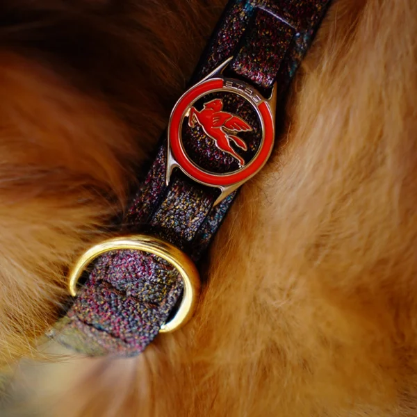 Dog Collar 50 CM - Image 2