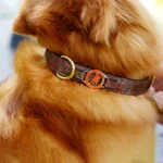Dog Collar 50 CM - Thumbnail Image 1