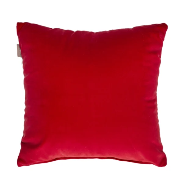 Indian Dream Embroidered Cushion - Image 2