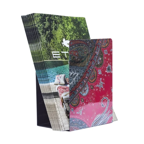 Voyage Au Rajasthan Bookend - Image 2