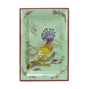 ETRO HOME Voyage Equateur tray in mint green with a yellow crested bird and red border