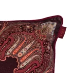 Kiri Velvet Cushion W/Cord - Image 3